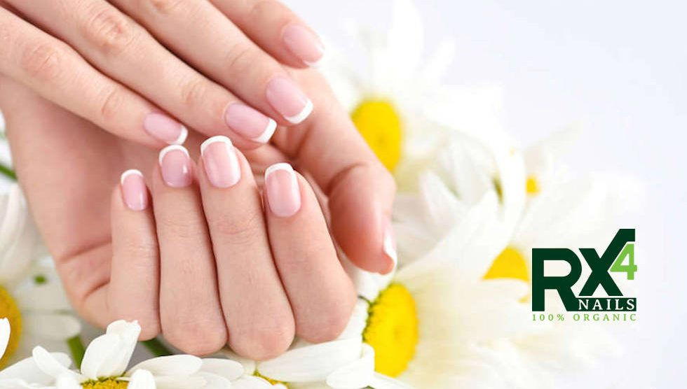 Organic Nail & Cuticle Oil